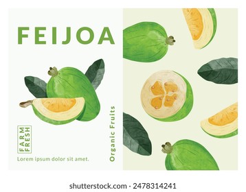 Feijoa fruit packaging design templates, watercolour style vector illustration.