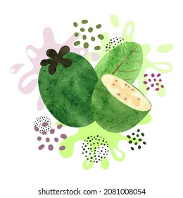 Feijoa con salpicaduras. Ilustración de la acuarela vectorial.