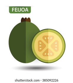 feijoa, fruit vector illustration