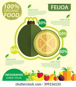 feijoa. Infographic template. vector illustration.