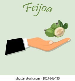 feijoa Label. ideal label for fruit juice. Fully adjustable scalable packages design. feijoa jam, sauce or juice label