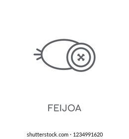 Feijoa linear icon. Modern outline Feijoa logo concept on white background from Fruits and vegetables collection. Suitable for use on web apps, mobile apps and print media.