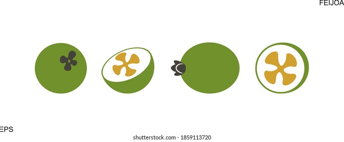 Logo de Feijoa. Feijoa aislada sobre fondo blanco