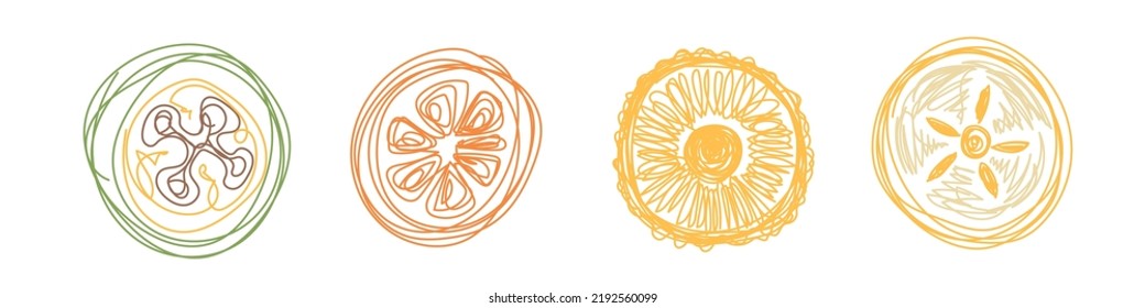 Feijoa, Orange, Ananas und Persimmonen. Fruchtskizze-Set. Handgezeichnete Vektorgrafik. Pen-oder Markerdooddel