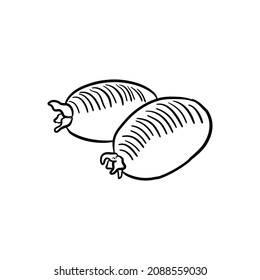 feijoa, vector drawing sketch of fruit isolated at white background, hand drawn illustration