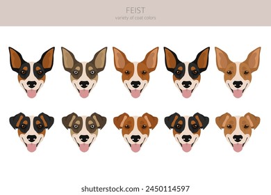 Feist dog clipart. Different coat colors set.  Vector illustration