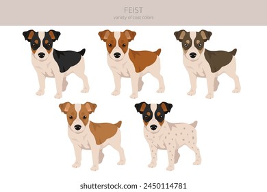 Feist dog clipart. Different coat colors set.  Vector illustration