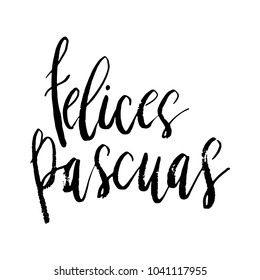 Felices Pascuas Happy Easter in Spanish hand written brush lettering isolated on white.