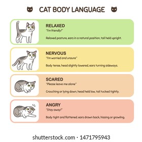 Cat Language Chart