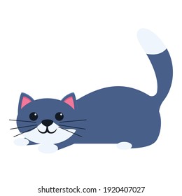 Feline cat playful icon. Cartoon of feline cat playful vector icon for web design isolated on white background
