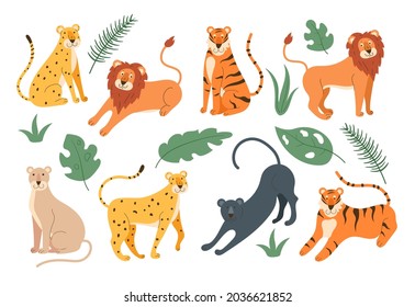 Feline cats jungle family isolated set