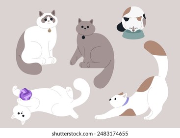 A Feline Family Portrait, Five Cats in Playful Poses, A colorful illustration featuring animals in various poses, including one playing with a ball,  eating from a bowl, and another one stretching