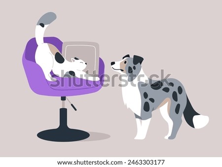 Feline Flexibility Meets Canine Curiosity in a Serene Home Encounter, A white cat stretches languidly on a purple chair as a merle border collie watches intently