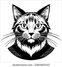 Feline Fun: Black and White Cat with Collar Enjoying the Sunshine 
