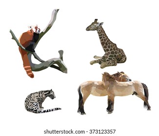 feline, giraffe, Przewalski horse, panda small on a white background
