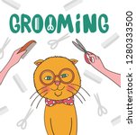 Feline grooming concept in vector. Cat haircut. Lettering. For banner, poster, web, t-shirt design.