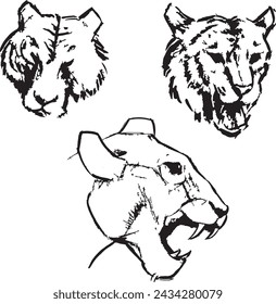 Feline heads ink sketch. Female lion head drawings. Black and white animals drawings set. Wildlife carnivores. 