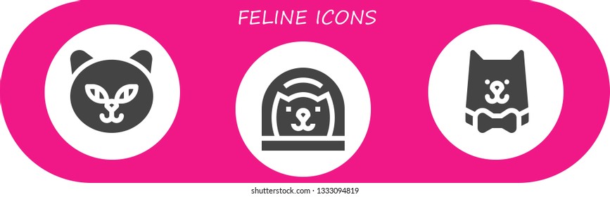 feline icon set. 3 filled feline icons.  Collection Of - Cat