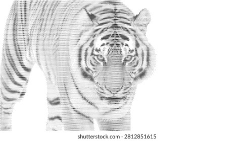 feline monochrome background white black stipple dotted vintage jungle feline predator nature wild animal halftone dangerous cat tiger