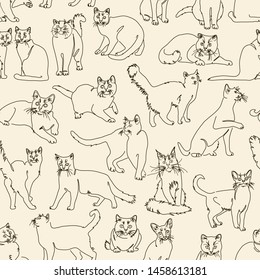 Feline seamless pattern. Endless background with line drawn cats.