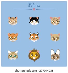 Felines collection vector illustration