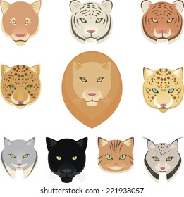Felines leopard, panther, lion, tiger, cougar and jaguar heads collection. Vector illustration.