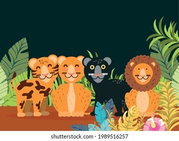 felines lion tiger panther leopard