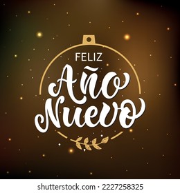 Feliz Anos Nuevo - Happy New Year in Spanish, handwritten text. Hand lettering on textured sparkling background. Vector illustration for poster, greeting card, invitation. Modern brush ink calligraphy