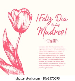 Feliz Día de las Madres (Happy Mother’s Day in Spanish) Tulip Flowers Greeting Card – Copy Space