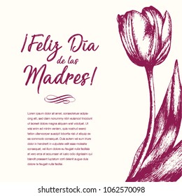 Feliz Día de las Madres (Happy Mother’s Day in Spanish) Tulip Flowers Greeting Card – Copy Space