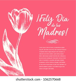 Feliz Día de las Madres (Happy Mother’s Day in Spanish) Tulip Flowers Greeting Card – Copy Space