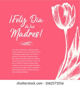 Feliz Día de las Madres (Happy Mother’s Day in Spanish) Tulip Flowers Greeting Card – Copy Space