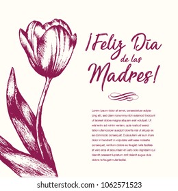 Feliz Día de las Madres (Happy Mother’s Day in Spanish) Tulip Flowers Greeting Card – Copy Space