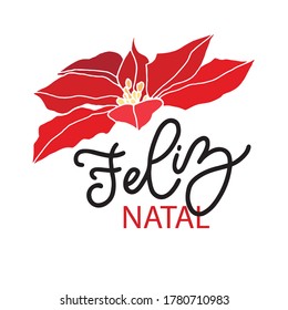 Feliz Natal handwritten lettering. Calligraphy card design elements. Holiday Natal lettering templates for greeting cards, overlays, posters, wrapping paper. Vector illustration.