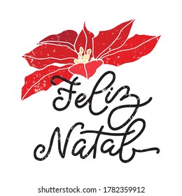 Grabación manuscrita de Feliz Natal. Traducción: Feliz Navidad. Fiesta portuguesa. Holiday Feliz Natal plantillas para tarjetas de felicitación, sobreimpresiones, afiches, papel de envoltura. Ilustración vectorial.