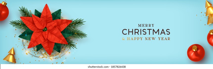 Feliz Navidad. Merry Christmas and Happy New Year. Xmas Background design realistic beautiful Poinsettia flower - red Christmas star. Blue poster, holiday banner, flyer, stylish brochure.