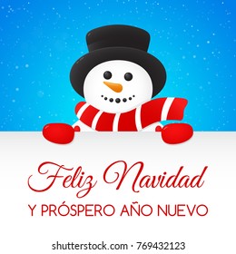 Feliz Navidad - Merry Christmas in Spanish. Concept of Christmas card with decoration. Vector.