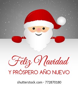 Feliz Navidad - Merry Christmas in Spanish. Christmas card with ornaments. Vector.