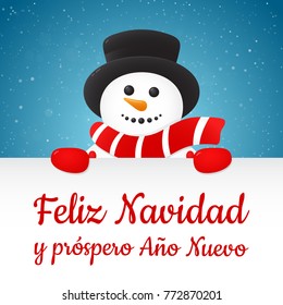 Feliz Navidad - Merry Christmas in Spanish. Christmas card with ornaments. Vector.