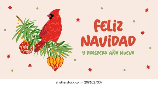 Feliz Navidad vector lettering for Spanish Merry Christmas holiday banner. Red cardinal and fir branch, christmas toys on beige background. Flat style illustration for banner, poster, invitation