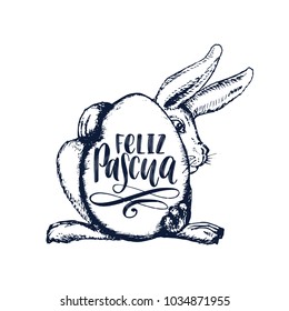 Feliz Pascua translated from Spanish handwritten phrase Happy Easter in vector. Drawn illustration of paschal egg and Bunny  on white background for holiday poster,