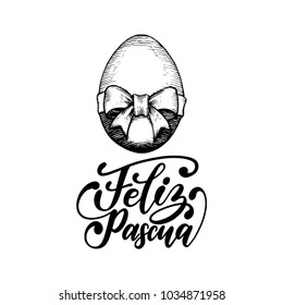 Feliz Pascua translated from Spanish handwritten phrase Happy Easter in vector. Drawn paschal egg illustration on white background for holiday poster, greeting card etc.