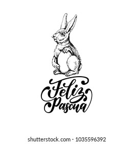 Feliz Pascua translated from Spanish handwritten phrase Happy Easter in vector. Drawn illustration of paschal egg and Bunny  on white background for holiday poster,