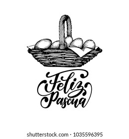 Feliz Pascua translated from Spanish handwritten phrase Happy Easter in vector. Drawn  illustration of basket of paschal eggs on white background for holiday poster, greeting card etc.