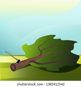 felled tree with an axe