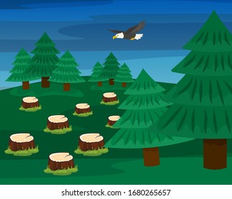 Felled trees in logging forest vector illustration hand drawn. Stumps and growing spruces. Deforestation, damage to nature, illegal destruction of coniferous wood. Flying eagle.