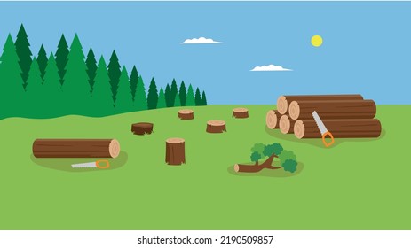 Felled trees and stumps near the forest