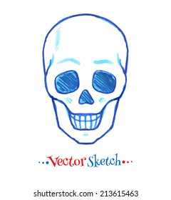 Felt pen childlike drawing of skull. Vector illustration. isolated.
