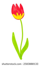 Felt pen hand drawn vector illustration of child drawings of tulip flower