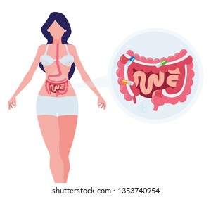 female anatomy with digestive system